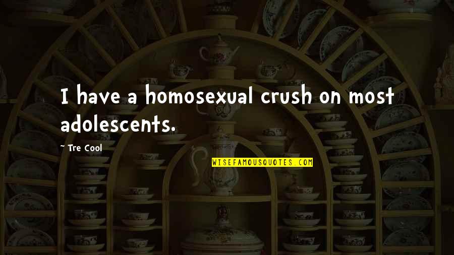A Crush You Have Quotes By Tre Cool: I have a homosexual crush on most adolescents.