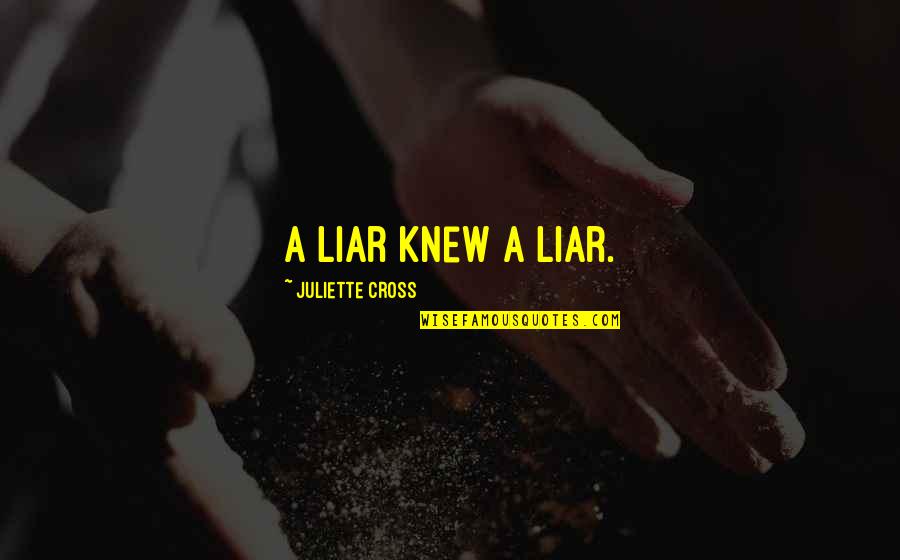 A Cure For Wellness Quotes By Juliette Cross: A liar knew a liar. A Cure For Wellness Quotes By Juliette Cross: A liar knew a liar.