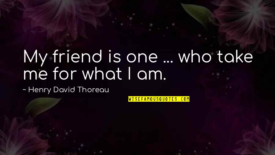 A Cute Friend Quotes By Henry David Thoreau: My friend is one ... who take me