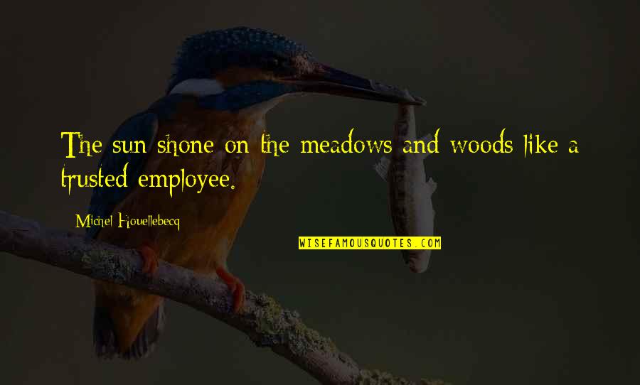 A.d. Woods Quotes By Michel Houellebecq: The sun shone on the meadows and woods A.d. Woods Quotes By Michel Houellebecq: The sun shone on the meadows and woods