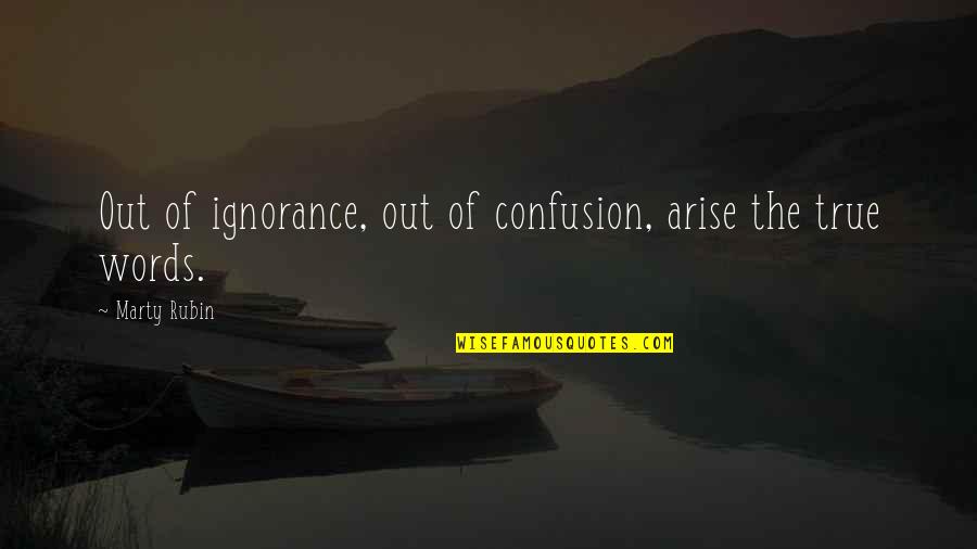 A Damn Good Kisser Quotes By Marty Rubin: Out of ignorance, out of confusion, arise the