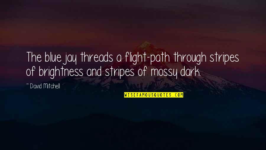 A Dark Path Quotes By David Mitchell: The blue jay threads a flight-path through stripes