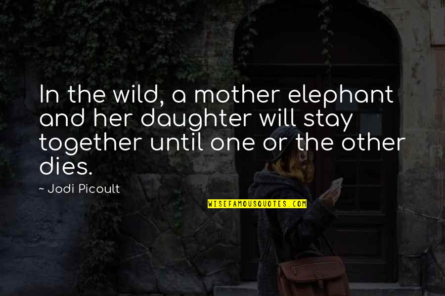 A Daughter And Mother Quotes By Jodi Picoult: In the wild, a mother elephant and her