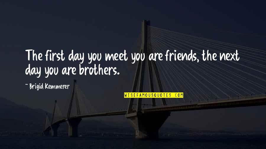 A Day With Friends Quotes By Brigid Kemmerer: The first day you meet you are friends,
