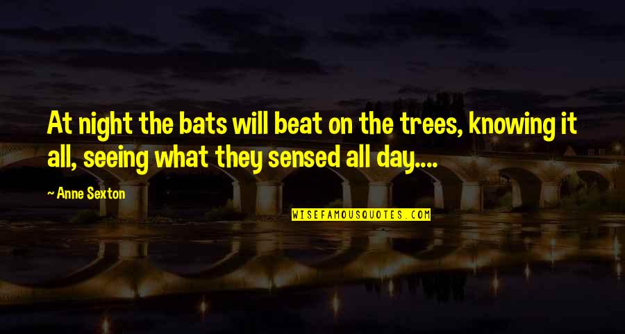 A Day Without Seeing You Quotes By Anne Sexton: At night the bats will beat on the