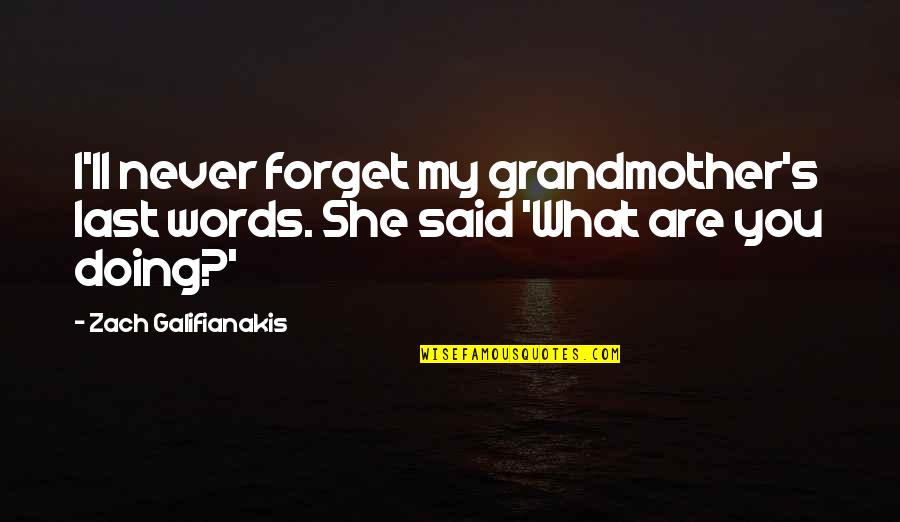 A Death Grandmother Quotes By Zach Galifianakis: I'll never forget my grandmother's last words. She