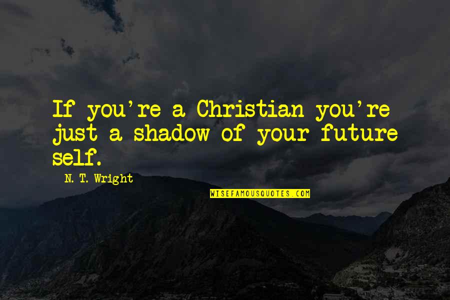A Death Quotes By N. T. Wright: If you're a Christian you're just a shadow