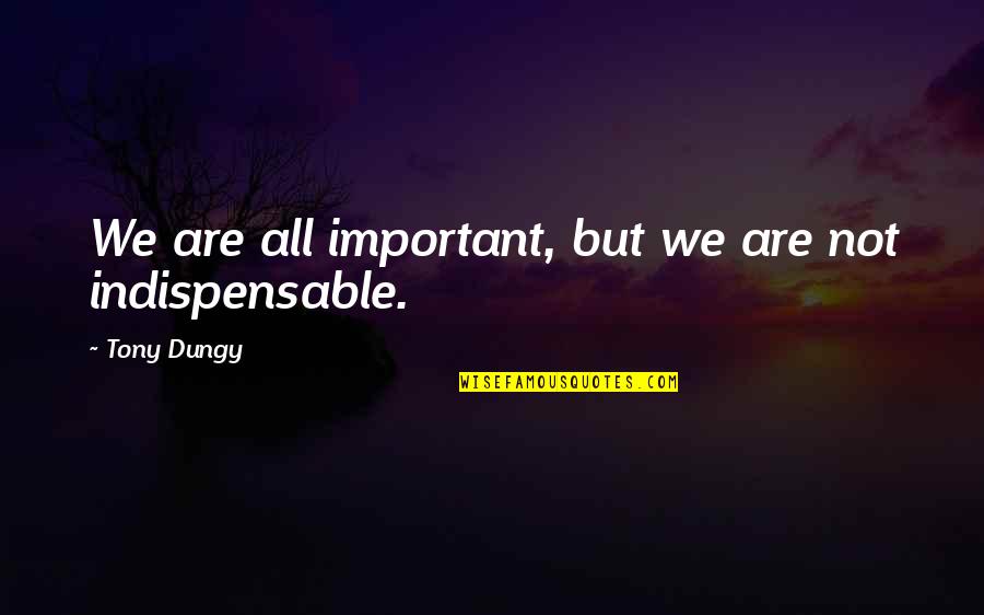 A Director Prepares Quotes By Tony Dungy: We are all important, but we are not A Director Prepares Quotes By Tony Dungy: We are all important, but we are not