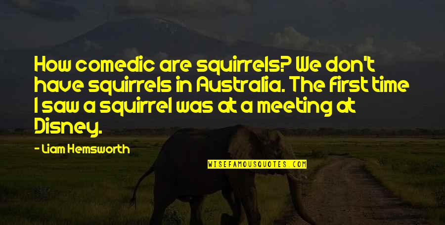 A Disney Quotes By Liam Hemsworth: How comedic are squirrels? We don't have squirrels A Disney Quotes By Liam Hemsworth: How comedic are squirrels? We don't have squirrels