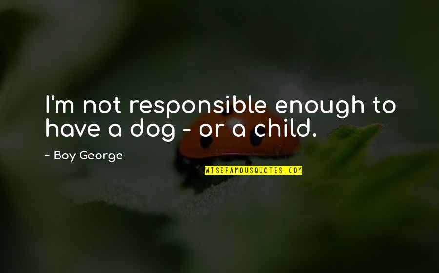 A Dog And A Boy Quotes By Boy George: I'm not responsible enough to have a dog