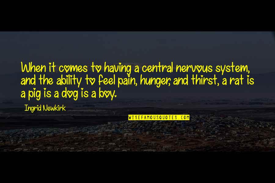 A Dog And A Boy Quotes By Ingrid Newkirk: When it comes to having a central nervous