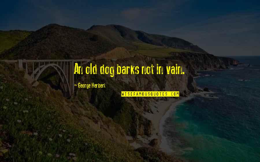 A Dog Barks Quotes By George Herbert: An old dog barks not in vain.