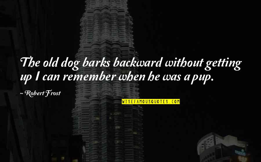 A Dog Barks Quotes By Robert Frost: The old dog barks backward without getting up