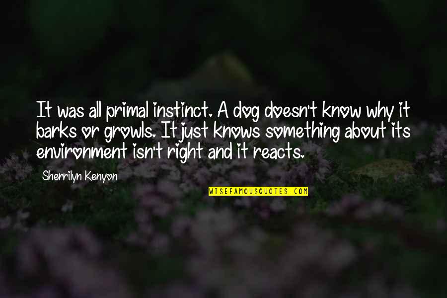 A Dog Barks Quotes By Sherrilyn Kenyon: It was all primal instinct. A dog doesn't