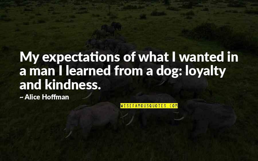 A Dog's Loyalty Quotes By Alice Hoffman: My expectations of what I wanted in a