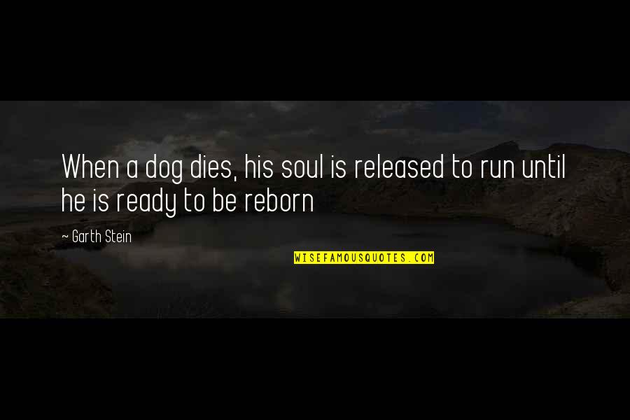 A Dog's Soul Quotes By Garth Stein: When a dog dies, his soul is released