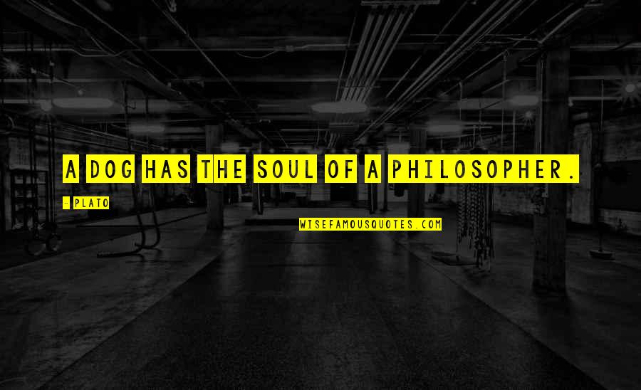 A Dog's Soul Quotes By Plato: A dog has the soul of a philosopher.