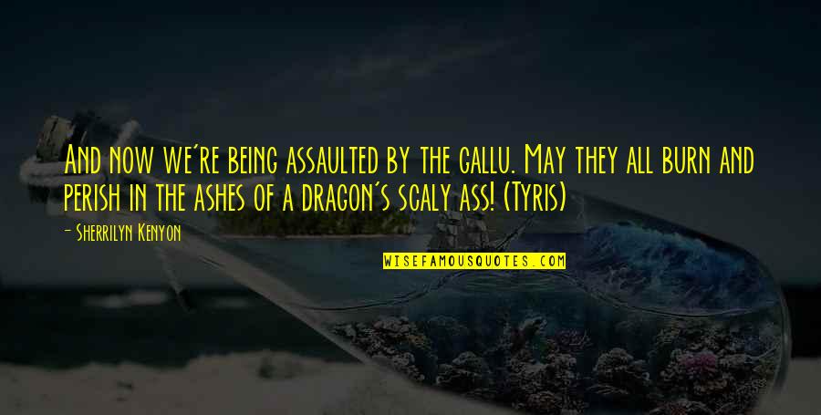A Dragon Quotes By Sherrilyn Kenyon: And now we're being assaulted by the gallu.