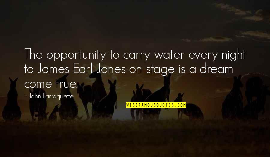 A Dream Come True Quotes By John Larroquette: The opportunity to carry water every night to