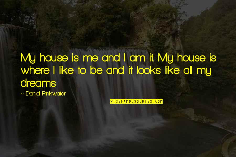 A Dream House Quotes By Daniel Pinkwater: My house is me and I am it.