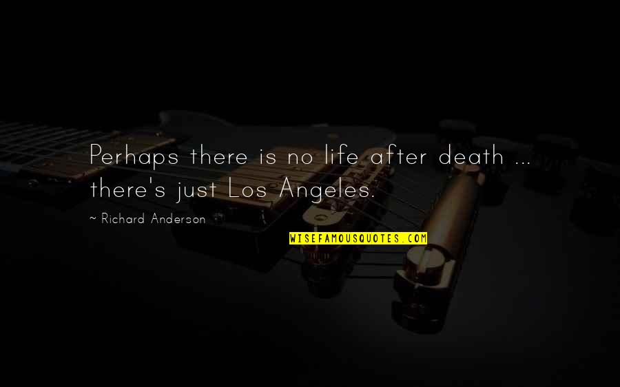 A Drinking Life Quotes By Richard Anderson: Perhaps there is no life after death ...