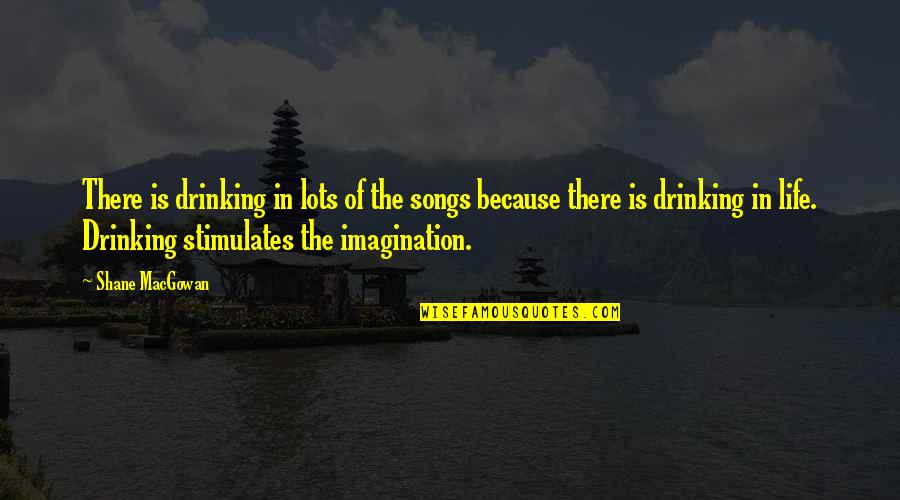 A Drinking Life Quotes By Shane MacGowan: There is drinking in lots of the songs