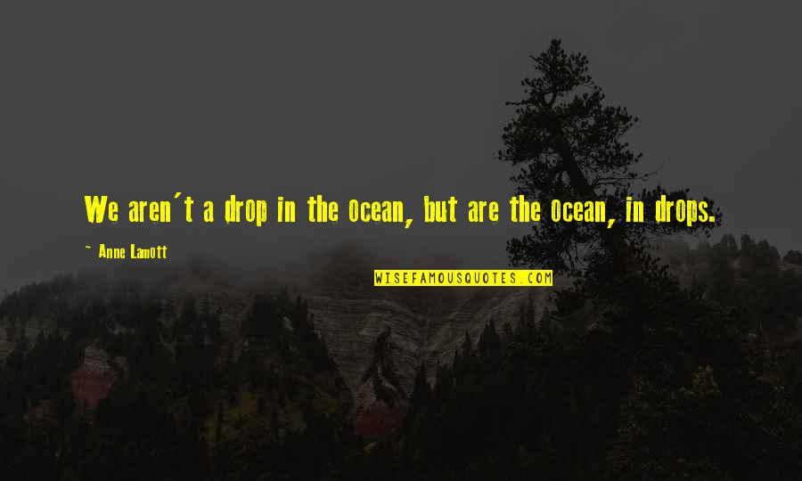 A Drop In The Ocean Quotes By Anne Lamott: We aren't a drop in the ocean, but