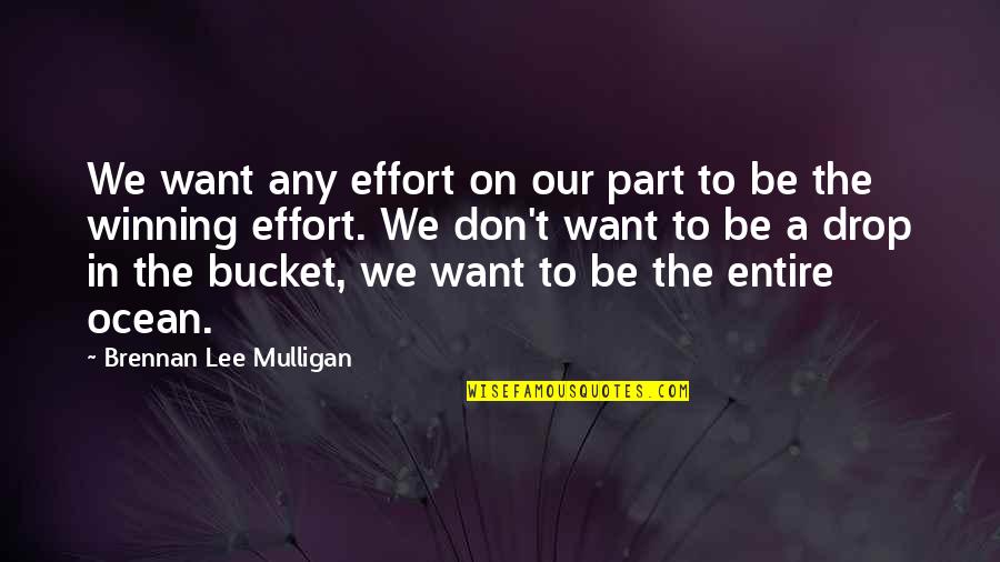 A Drop In The Ocean Quotes By Brennan Lee Mulligan: We want any effort on our part to