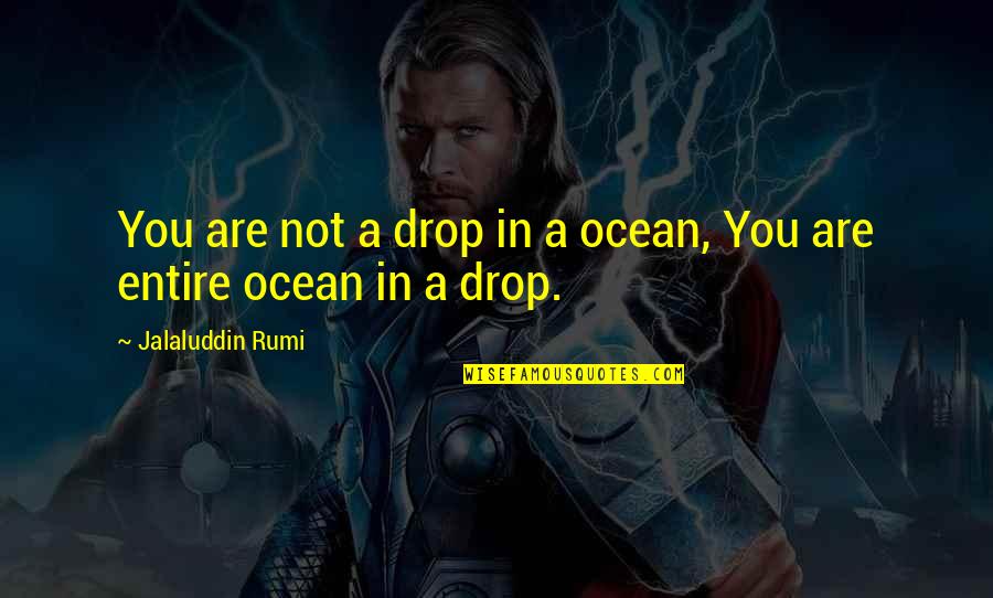 A Drop In The Ocean Quotes By Jalaluddin Rumi: You are not a drop in a ocean,