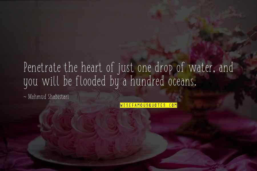A Drop In The Ocean Quotes By Mahmud Shabistari: Penetrate the heart of just one drop of