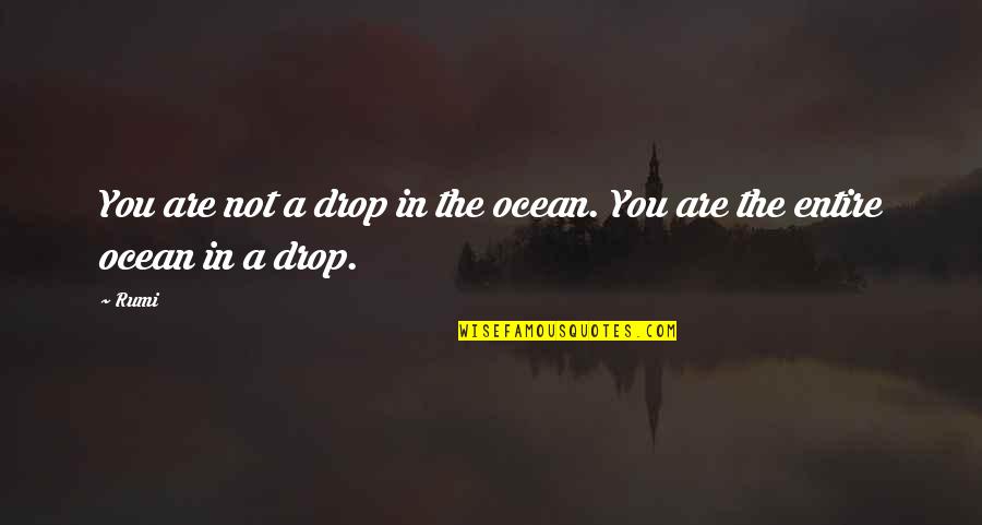 A Drop In The Ocean Quotes By Rumi: You are not a drop in the ocean.
