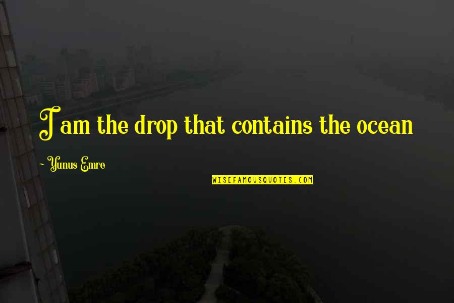 A Drop In The Ocean Quotes By Yunus Emre: I am the drop that contains the ocean