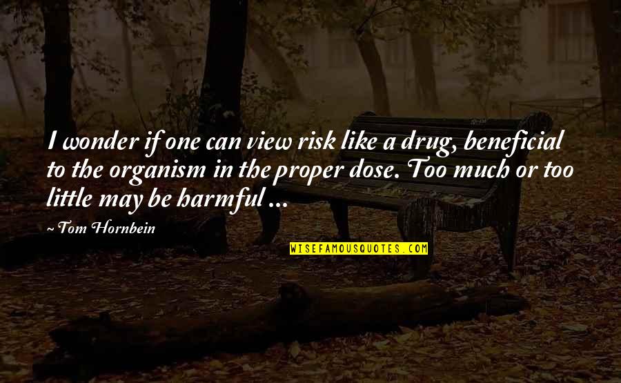 A Drug Quotes By Tom Hornbein: I wonder if one can view risk like