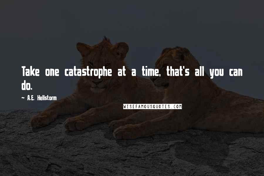 A.E. Hellstorm quotes: Take one catastrophe at a time, that's all you can do.