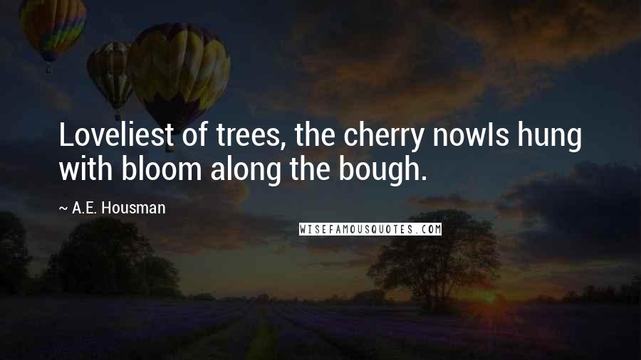 A.E. Housman quotes: Loveliest of trees, the cherry nowIs hung with bloom along the bough.