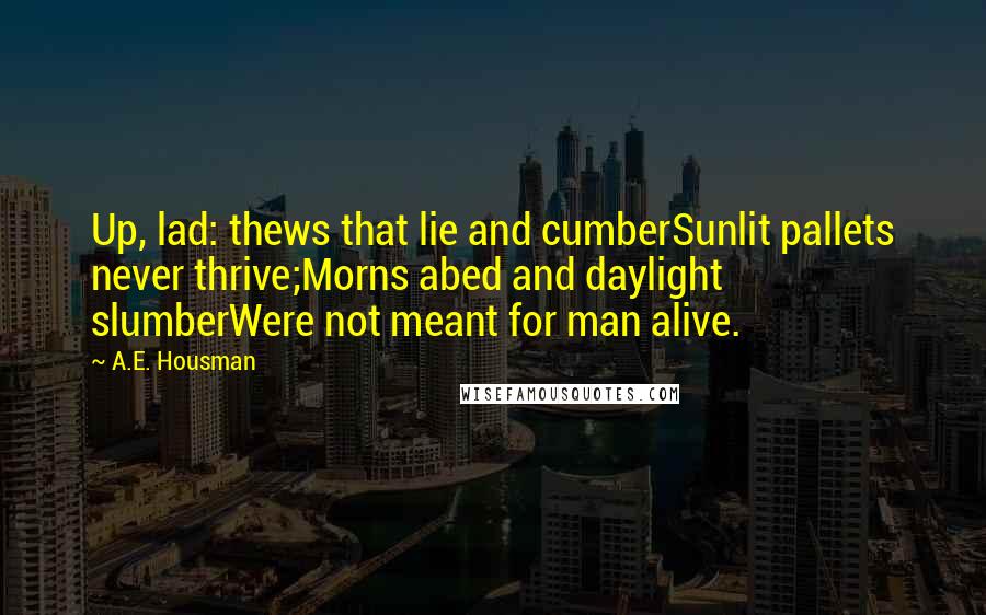 A.E. Housman quotes: Up, lad: thews that lie and cumberSunlit pallets never thrive;Morns abed and daylight slumberWere not meant for man alive.