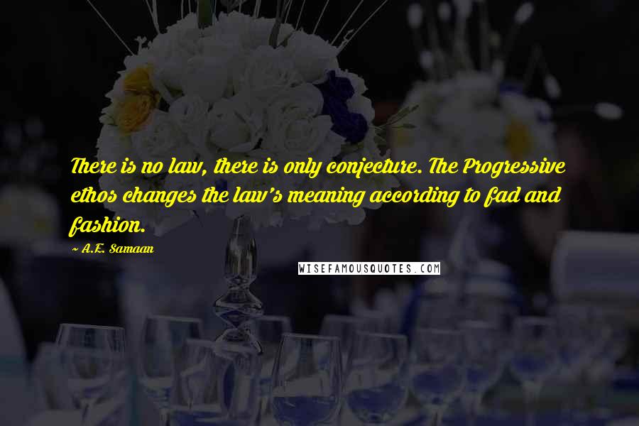 A.E. Samaan quotes: There is no law, there is only conjecture. The Progressive ethos changes the law's meaning according to fad and fashion.