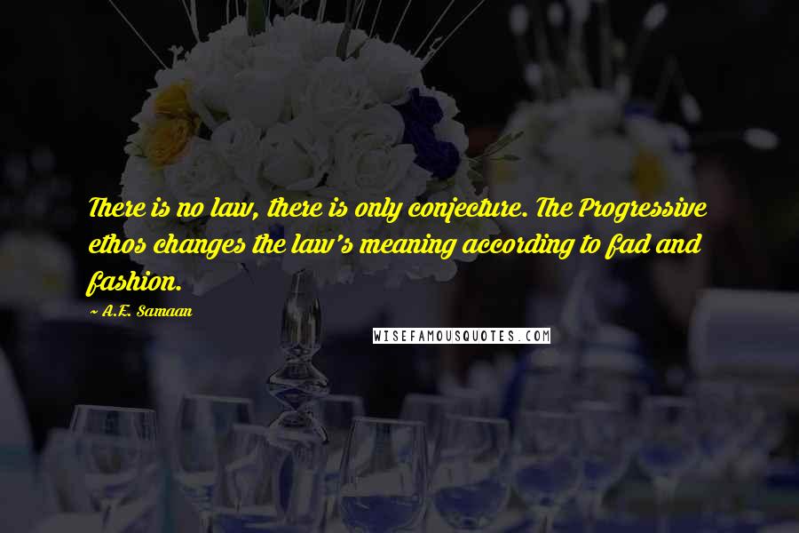 A.E. Samaan quotes: There is no law, there is only conjecture. The Progressive ethos changes the law's meaning according to fad and fashion. A.E. Samaan quotes: There is no law, there is only conjecture. The Progressive ethos changes the law's meaning according to fad and fashion.