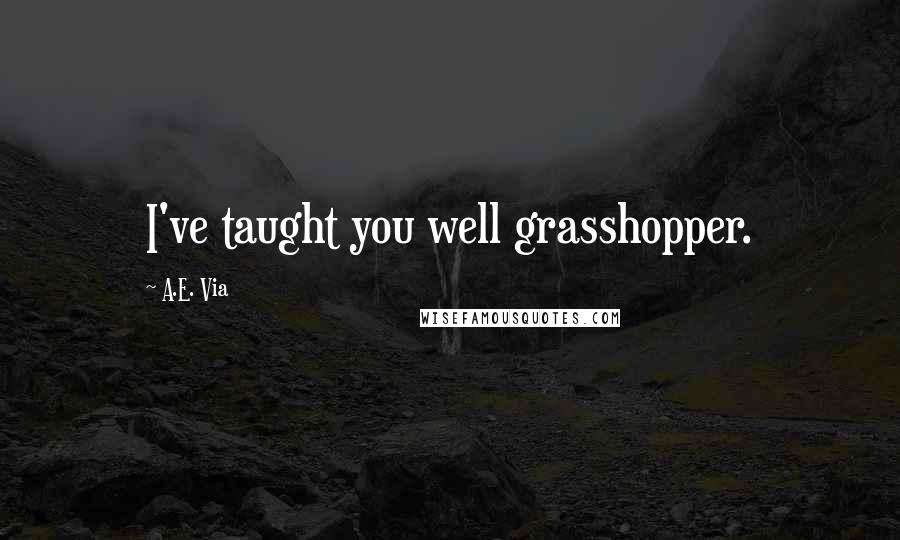 A.E. Via quotes: I've taught you well grasshopper.