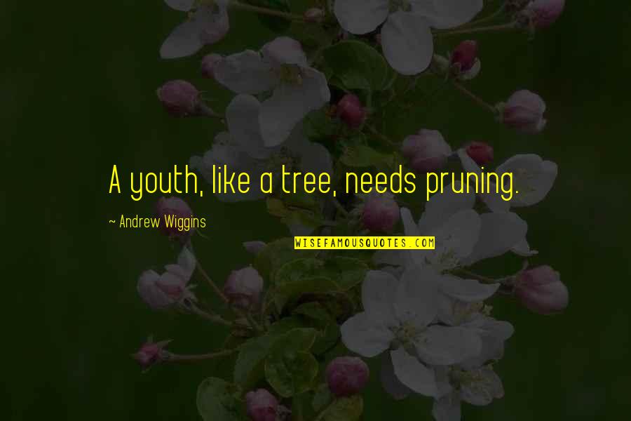 A E Wiggins Quotes By Andrew Wiggins: A youth, like a tree, needs pruning.