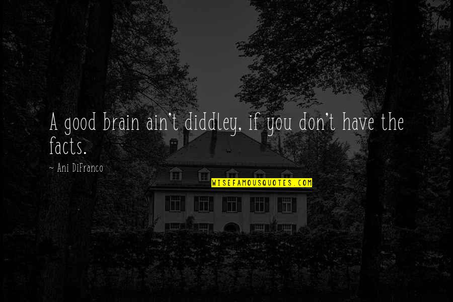 A Education Quotes By Ani DiFranco: A good brain ain't diddley, if you don't