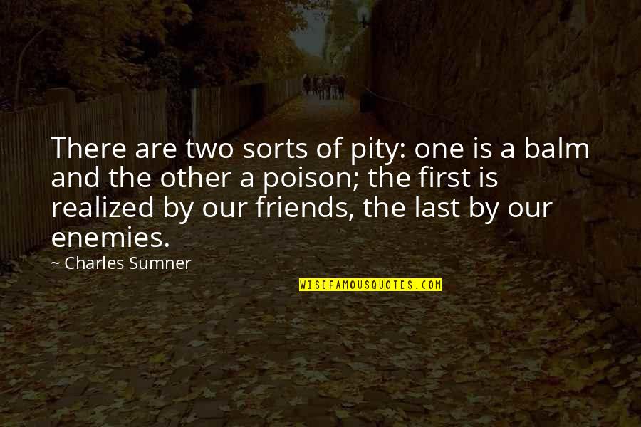 A Enemies Quotes By Charles Sumner: There are two sorts of pity: one is
