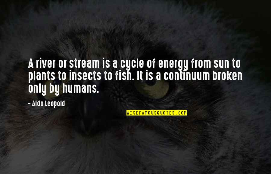 A Energy Quotes By Aldo Leopold: A river or stream is a cycle of A Energy Quotes By Aldo Leopold: A river or stream is a cycle of