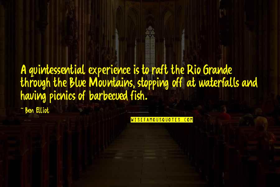 A Experience Quotes By Ben Elliot: A quintessential experience is to raft the Rio