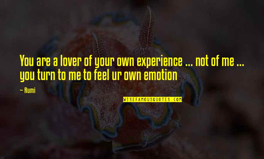 A Experience Quotes By Rumi: You are a lover of your own experience