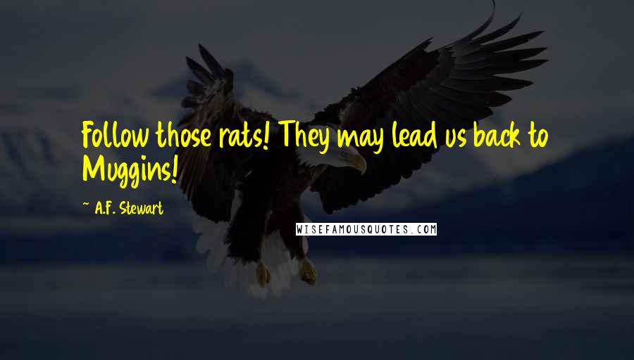 A.F. Stewart quotes: Follow those rats! They may lead us back to Muggins!