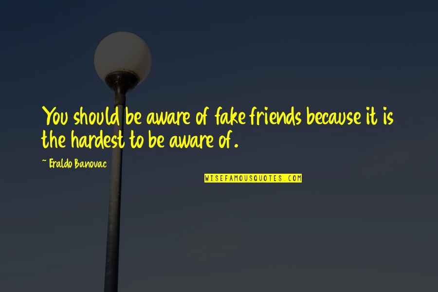 A Fake Friendship Quotes By Eraldo Banovac: You should be aware of fake friends because