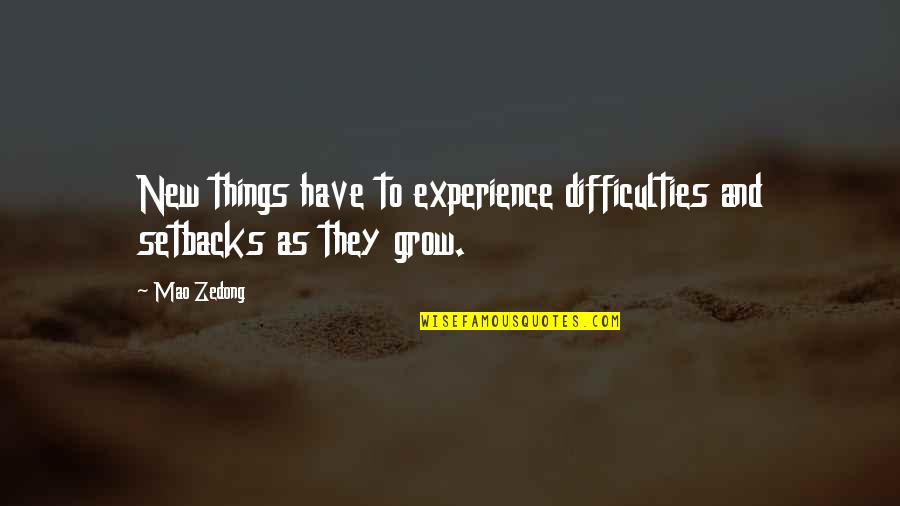 A Family Supper Quotes By Mao Zedong: New things have to experience difficulties and setbacks