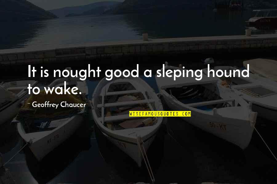 A Fan Notes Quotes By Geoffrey Chaucer: It is nought good a sleping hound to