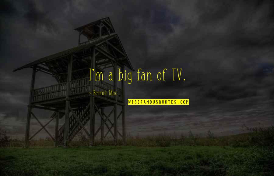 A Fan Quotes By Bernie Mac: I'm a big fan of TV.